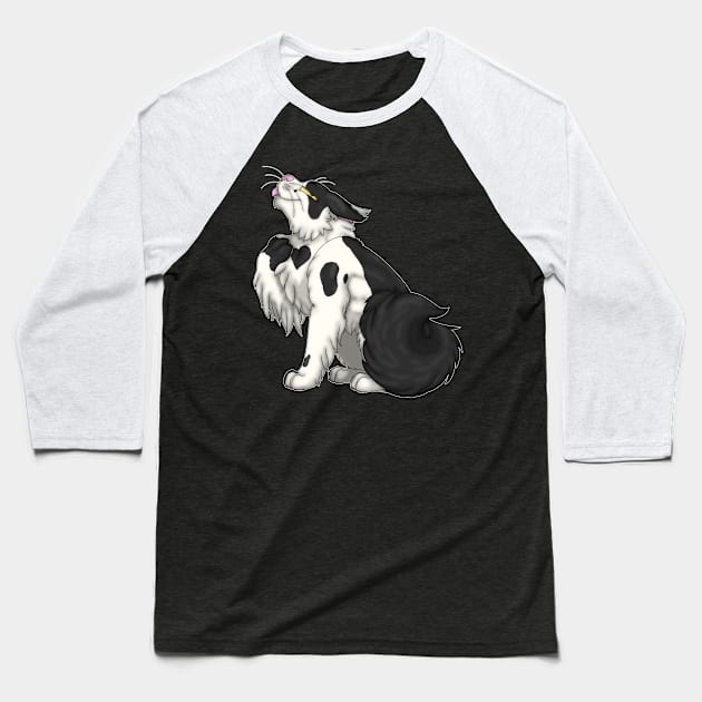 Black Bicolor Longhair Baseball T-Shirt by spyroid101